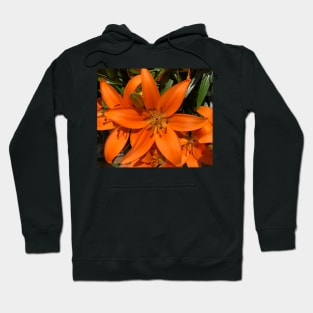 Exuberant Orange Tiger Lily Hoodie